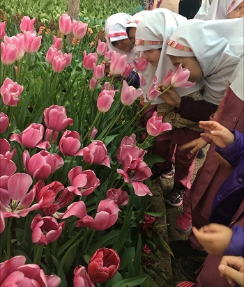 بازدید نوآموزان پیش دبستان و دبستان دخترانه از گل های لاله