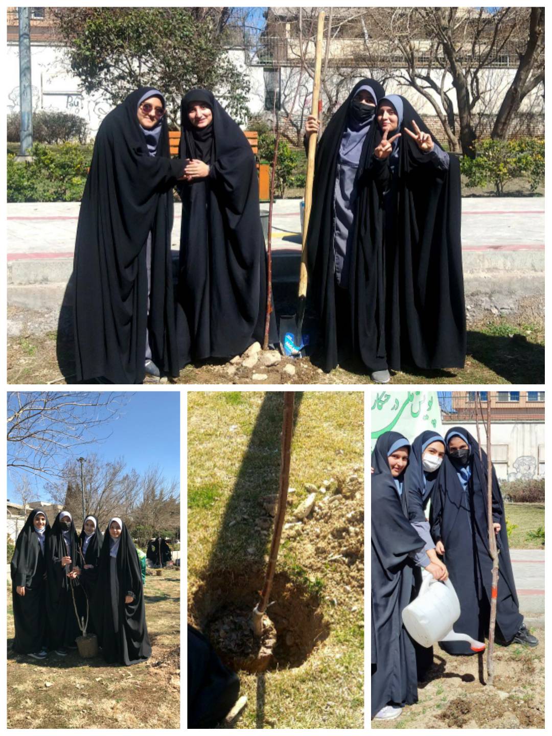 کاشت نهال میوه توسط دختران امام صادقی